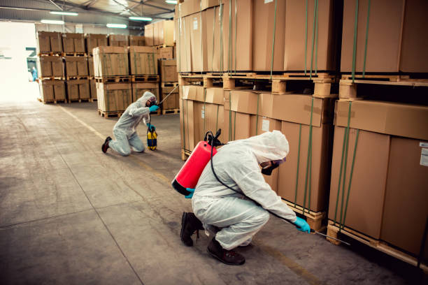 Best Affordable Pest Control Services  in Breezy Point, MN