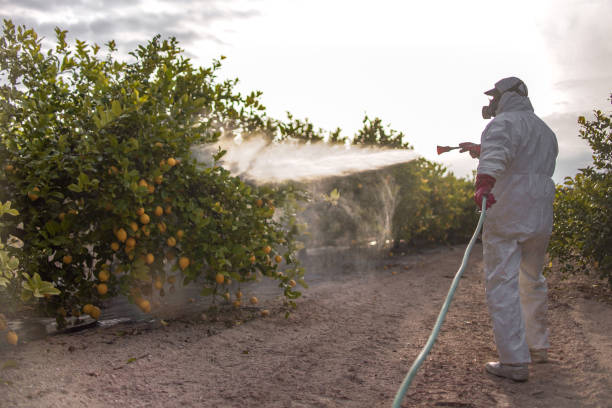 Best Best Pest Control Companies  in Breezy Point, MN