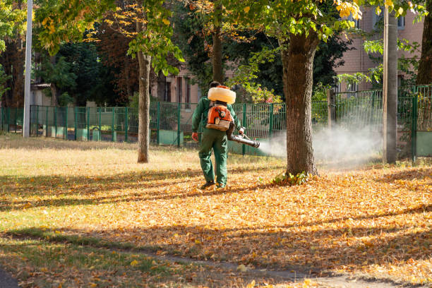 Best Termite Control Services  in Breezy Point, MN
