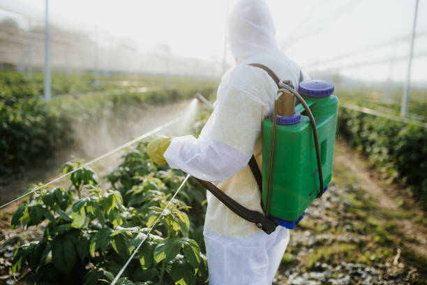 Insect Control in Breezy Point, MN